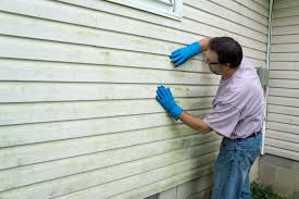 Affordable Siding Repair and Maintenance Services in Arlington Heights, WA